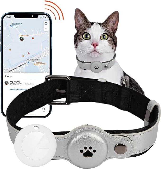 Another awesome IoT examples is the pet tracker. Photo credited to amazon.com.