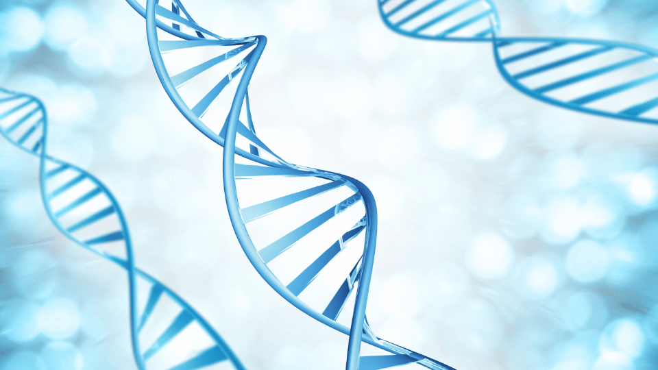 Unsupervised learning algorithms like Hierarchical Clustering are used in genetic research to analyze DNA patterns.