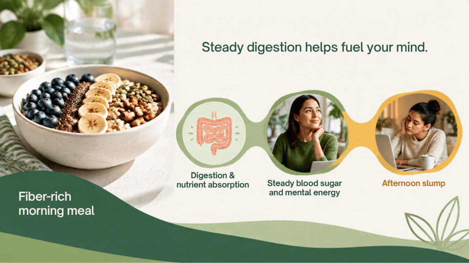 An image showing a bowl of oats topped with blueberries, bananas, and seeds, labeled "Fiber-rich morning meal". To the right, text reads "Steady digestion helps fuel your mind" above a three-part diagram. The diagram links an intestine icon labeled "Digestion & nutrient absorption" to a photo of an alert woman labeled "Steady blood sugar and mental energy," and contrasts this with a photo of a tired woman labeled "Afternoon slump".   